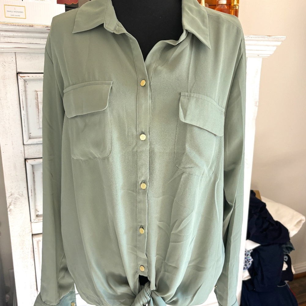 Investments long sleeve blouse